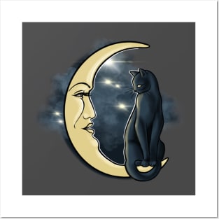 Cat on the moon Posters and Art